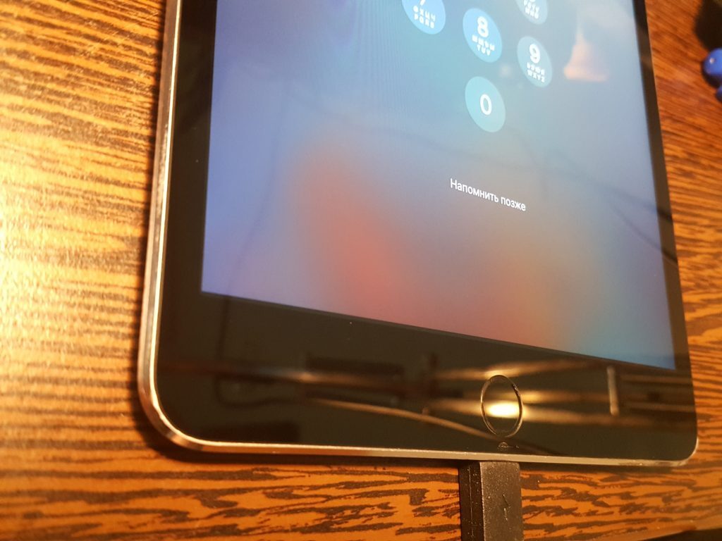Ipad mini 4 оригинальный экран