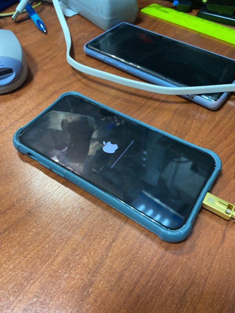 iPhone 12 Pro max apple logo boot loop